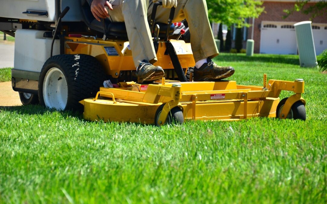 3 Major Reasons to Hire a Lawn Care Company